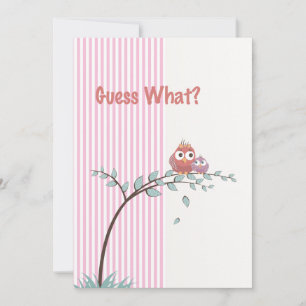 Raad eens? Foto Zwangerschap Aankondiging