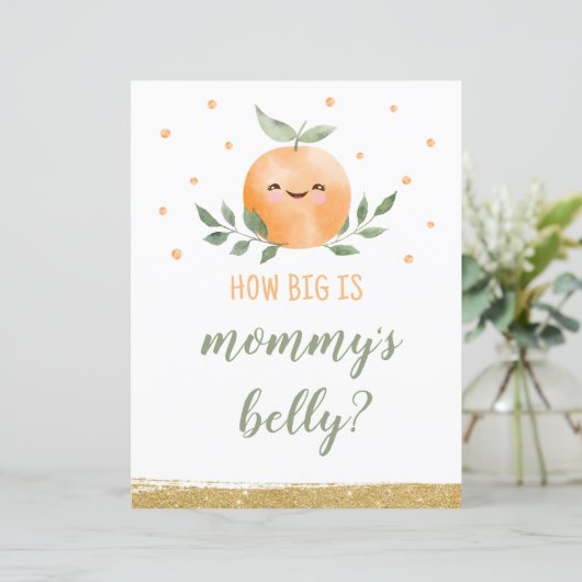 Raad eens hoe groot is mama buik teken kleine scha (Staand voorkant)