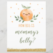 Raad eens hoe groot is mama buik teken kleine scha (Voorkant)