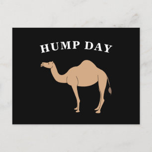 Raad eens na welke dag het Hump Day Camel Desert A Briefkaart