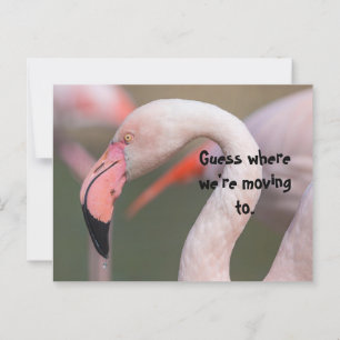 RAAD EENS WAAR DE VERHUIZING KAART