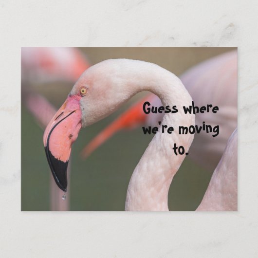 RAAD EENS WAAR DE VERHUIZING KAART (Voorkant)