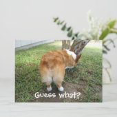 Raad eens wat Corgi Butt Funny Dog Lover Kaart (Staand voorkant)