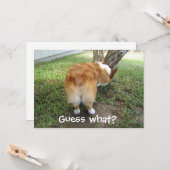 Raad eens wat Corgi Butt Funny Dog Lover Kaart (Voorkant / Achterkant in situ)
