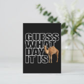 Raad eens wat het is voor dag Hump Day Camel Briefkaart (Staand voorkant)