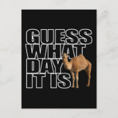 Raad eens wat het is voor dag Hump Day Camel Briefkaart (Voorkant)