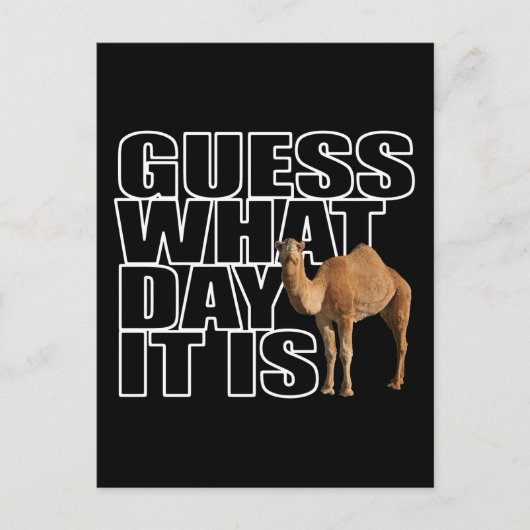 Raad eens wat het is voor dag Hump Day Camel Briefkaart (Voorkant)