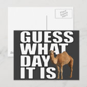 Raad eens wat het is voor dag Hump Day Camel Briefkaart (Voorkant / Achterkant)