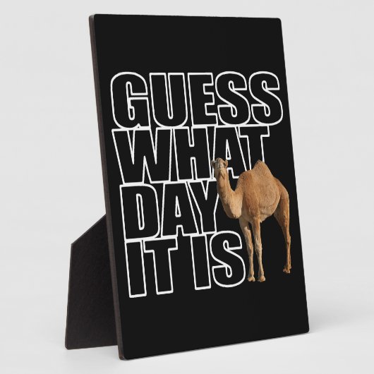 Raad eens wat het is voor dag Hump Day Camel Fotoplaat (Zijkant)