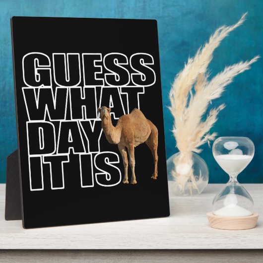 Raad eens wat het is voor dag Hump Day Camel Fotoplaat (Zijkant)