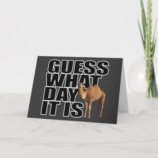 Raad eens wat het is voor dag Hump Day Camel Kaart (Voorkant)