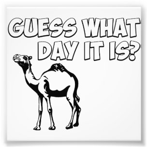 Raad eens welke dag het is? Hump Day Camel Foto Afdruk