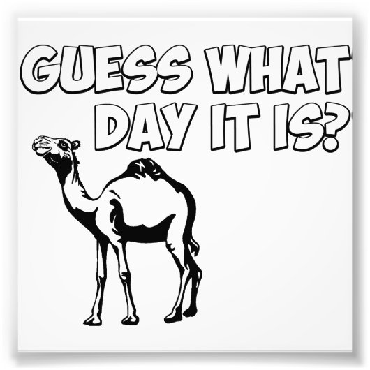 Raad eens welke dag het is? Hump Day Camel Foto Afdruk (Voorkant)