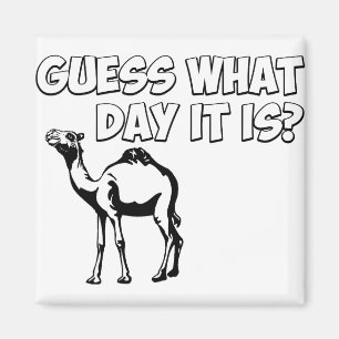 Raad eens welke dag het is? Hump Day Camel Magneet