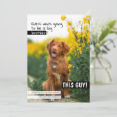 Raad eens wie een grote broer/zus zal worden? kaart (Staand voorkant)