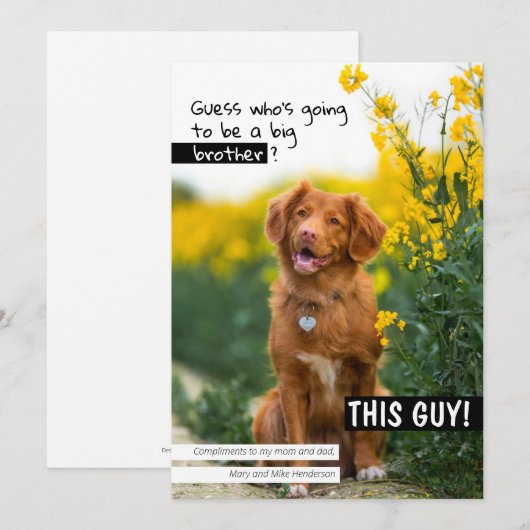 Raad eens wie een grote broer/zus zal worden? kaart (Voorkant / Achterkant)