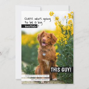 Raad eens wie een grote broer/zus zal worden? kaart