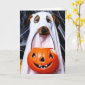 Raad eens wie? - Halloween Kaart (Gele Bloem)