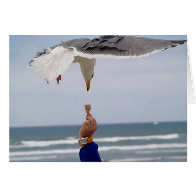 Raad eens wie komt eten (Voorkant Horizontaal)