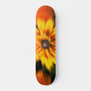 Raad van het Schaats van het Onduidelijke beeld va Persoonlijk Skateboard