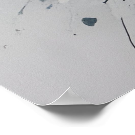 raadselachtig wit-blauw Roos Poster (Hoek)