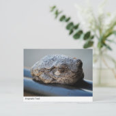 raadselachtige paddenstoel Briefkaart (Staand voorkant)