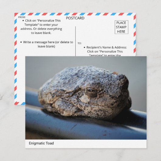 raadselachtige paddenstoel Briefkaart (Voorkant / Achterkant)