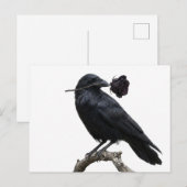 Raaf Briefkaart (Voorkant / Achterkant)