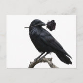 Raaf Briefkaart (Voorkant)
