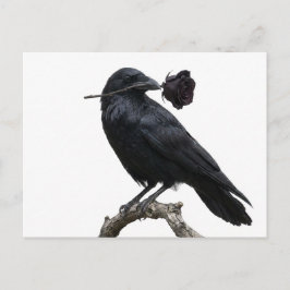 Raaf Briefkaart