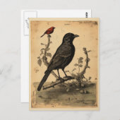  raaf en rode vogel briefkaart (Voorkant / Achterkant)