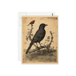  raaf en rode vogel briefkaart