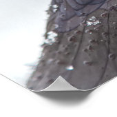 Raaf in Sneeuw Poster (Hoek)