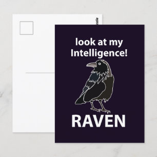 Raaf Kijk naar mijn Intelligentie Raaf Briefkaart