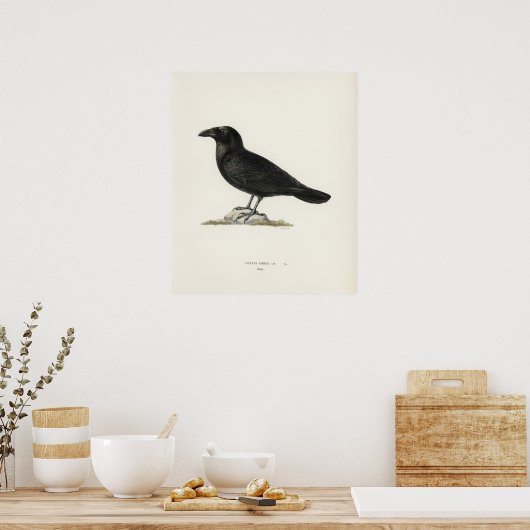 Raaf Poster (Keuken)