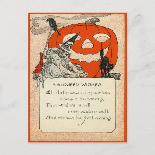 Raaf van de Kat van de Lantaarn van de Hefboom O Briefkaart (Voorkant)