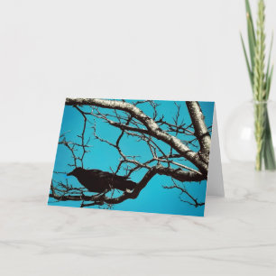 Raaf Zwarte Vogel Zilveren Boom Blauwe Lucht Foto Kaart