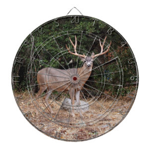 RAAK het Dartboard van Herten Dartbord