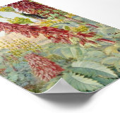 Raak me niet aan bloemen en suikervogels, Tulbagh Poster (Hoek)