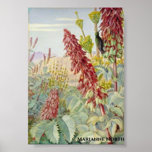 Raak me niet aan bloemen en suikervogels, Tulbagh Poster (Voorkant)