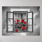 raam-477937: raam met zwarte en witte bloemen poster (Voorkant)