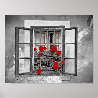raam-477937: raam met zwarte en witte bloemen poster