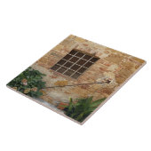 Raam en oerwand, Pienza, Italië Tegeltje (Zijkant)