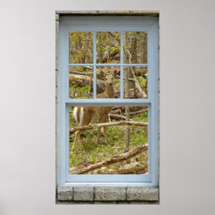 Raam uitkijkend Herten Doe Poster