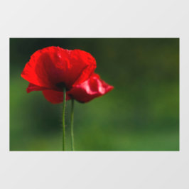 Raamfolie - Foto van klaprozen Raamsticker