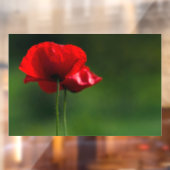 Raamfolie - Foto van klaprozen Raamsticker (Vel 2)