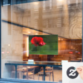 Raamfolie - Foto van klaprozen Raamsticker (Cafe Raam)