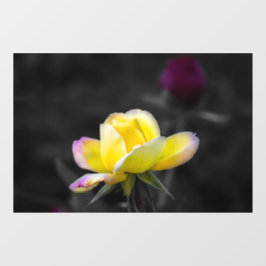 Raamfolie - Gele Rozenfotografie Raamsticker