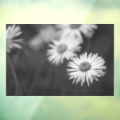 Raamfolie - Madeliefjes Bloem BW Raamsticker (Vel 3)