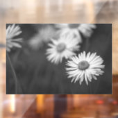 Raamfolie - Madeliefjes Bloem BW Raamsticker (Vel 2)